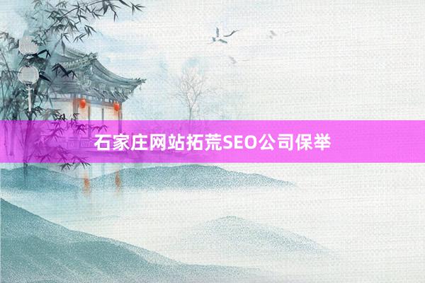 石家庄网站拓荒SEO公司保举