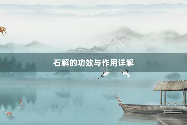 石解的功效与作用详解