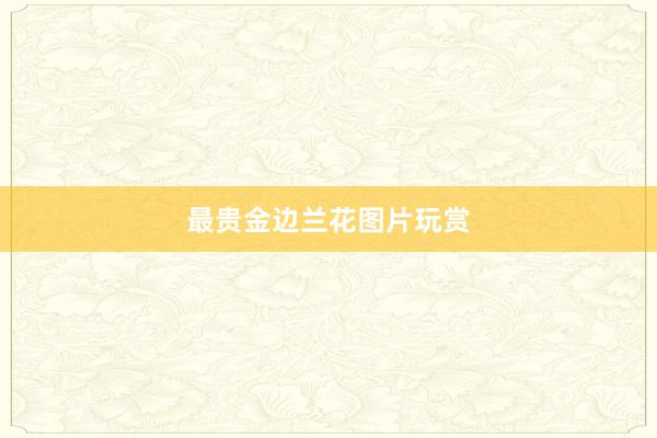 最贵金边兰花图片玩赏