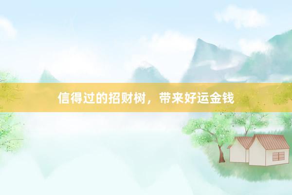信得过的招财树，带来好运金钱