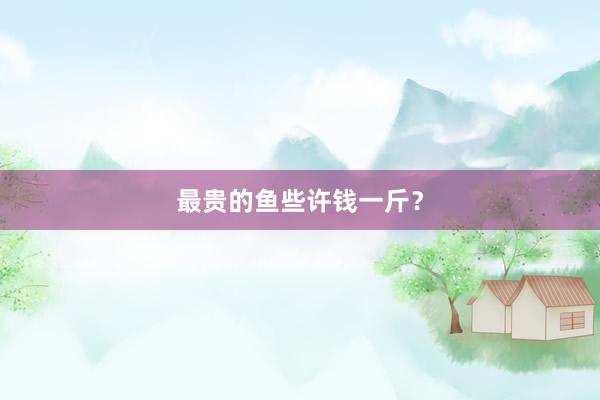 最贵的鱼些许钱一斤？