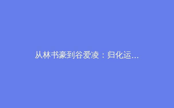 从林书豪到谷爱凌：归化运动员如何重塑中国体育的国际竞争力版图 - 3